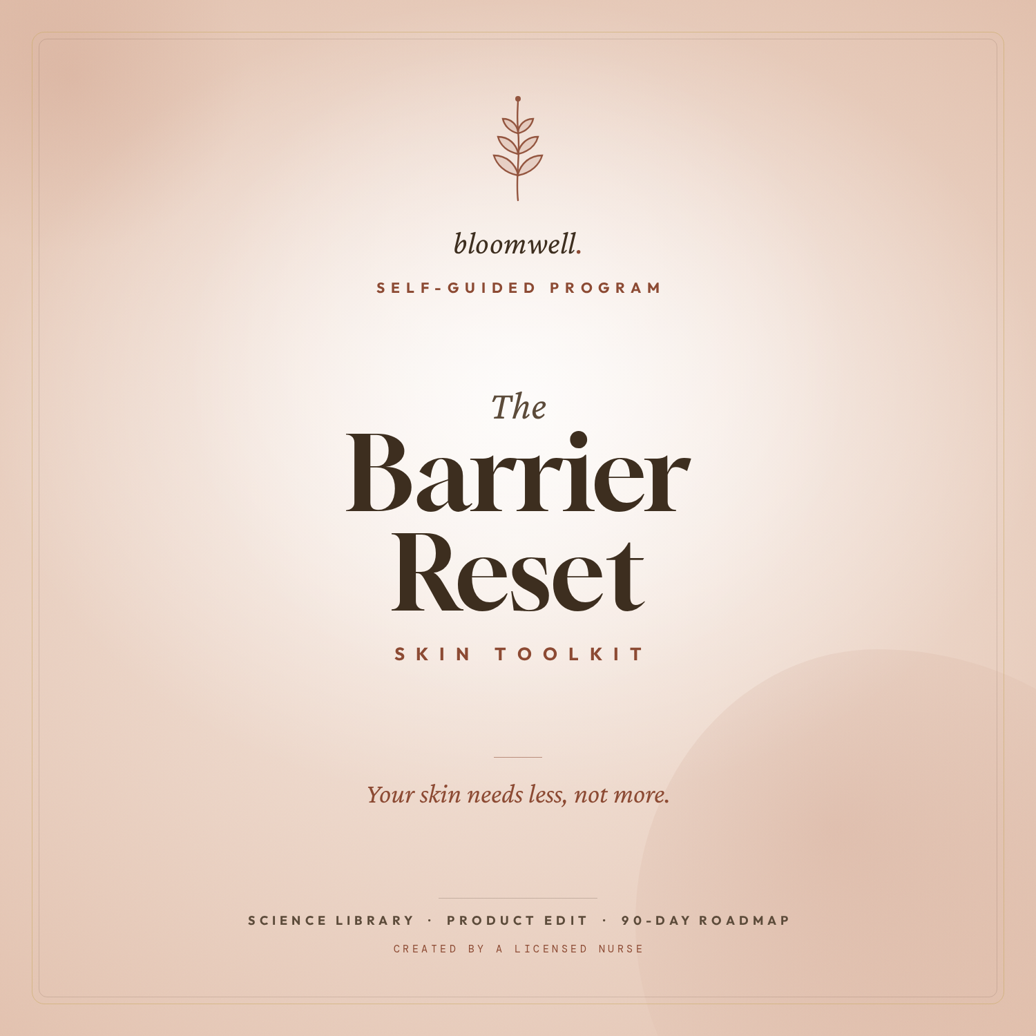 The Barrier Reset Skin Toolkit